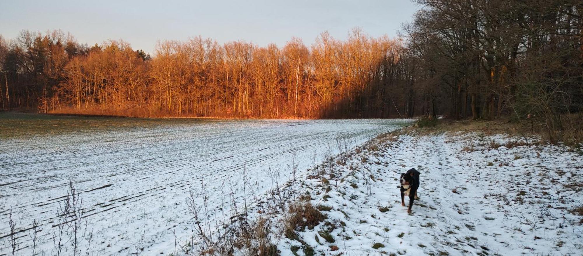 Gospodarstwo Agroturystyczne Agroletnica Świdnica Exteriér fotografie