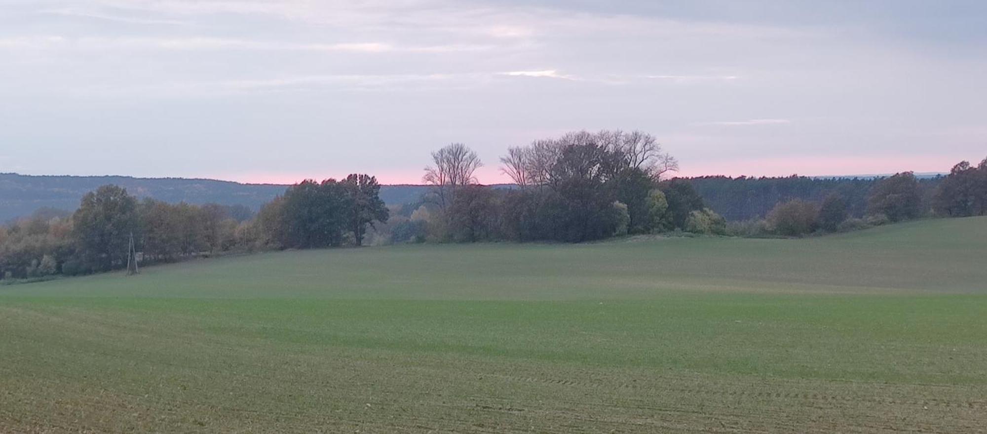 Gospodarstwo Agroturystyczne Agroletnica Świdnica Exteriér fotografie